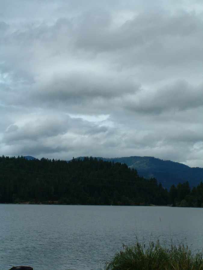 Lake Selmac @ the Siskiyou Folk and Bluegrass Festival